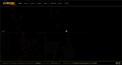 Desktop Screenshot of lpdeezignphotography.com